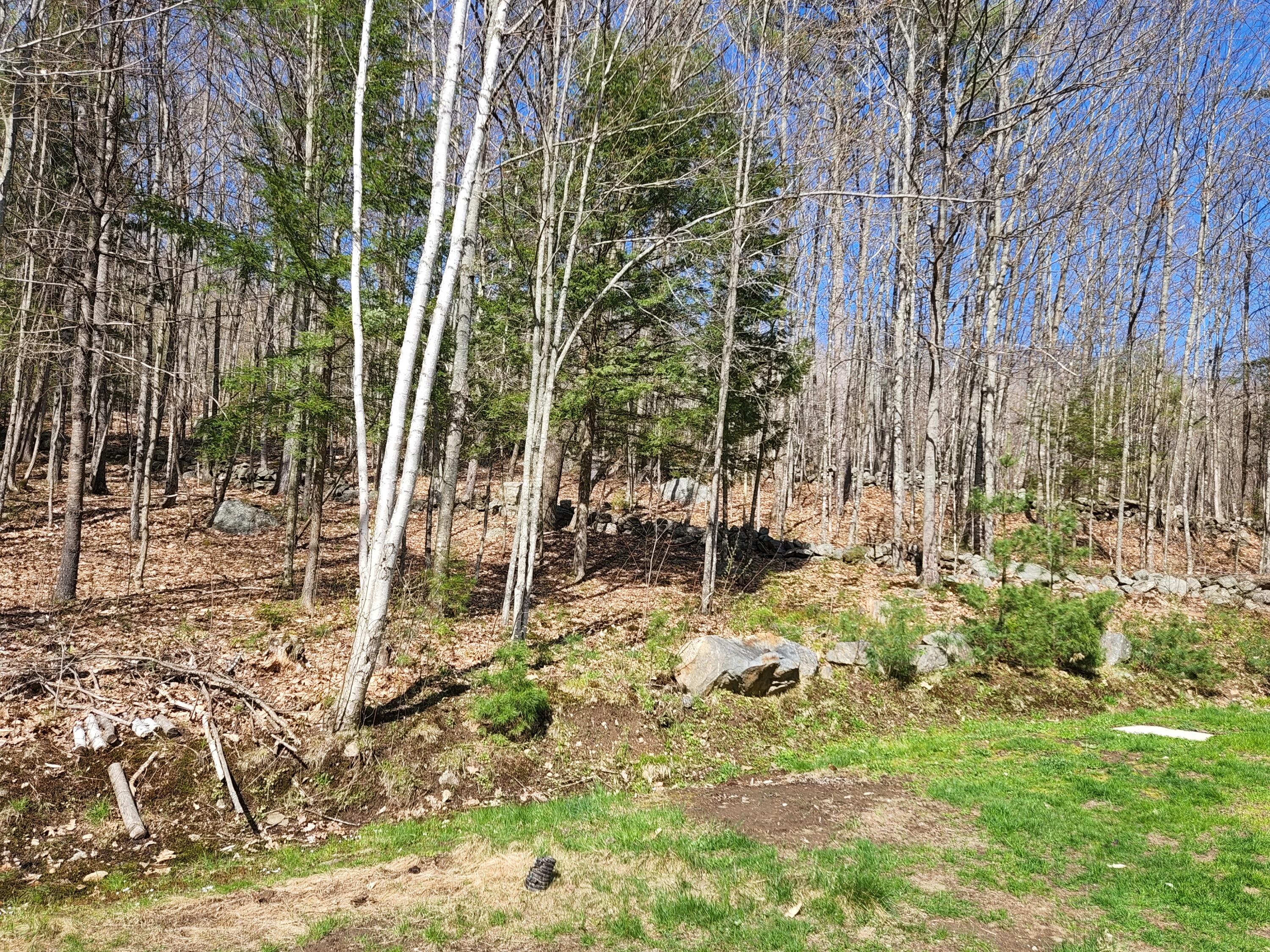 171 Maplecrest Road Parsonsfield, ME 04047 - Photo 31 of 33 20220505_153943