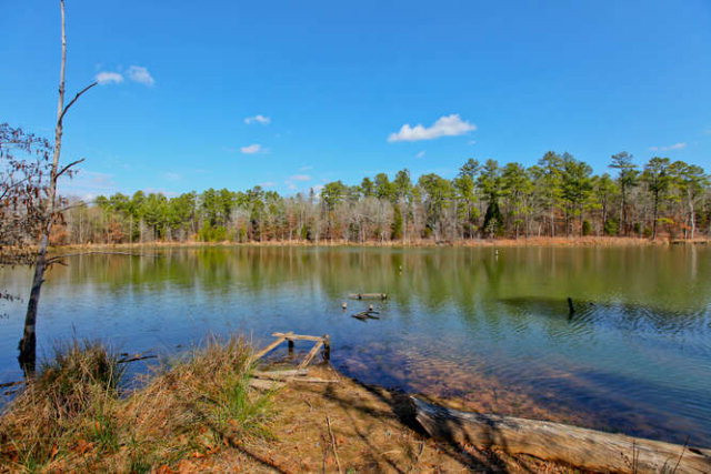Lot 3 Briggs Road North Augusta, SC 29860 - Photo 1 of 1