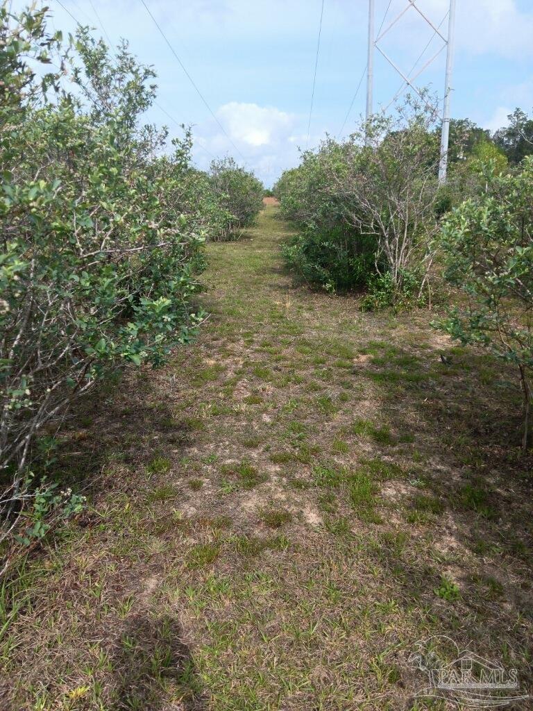6225 Dixie Road Milton, FL 32570 - Photo 17 of 20 Gallery Image 17