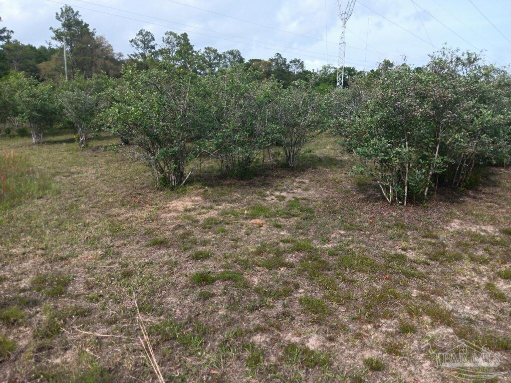 6225 Dixie Road Milton, FL 32570 - Photo 18 of 20 Gallery Image 18