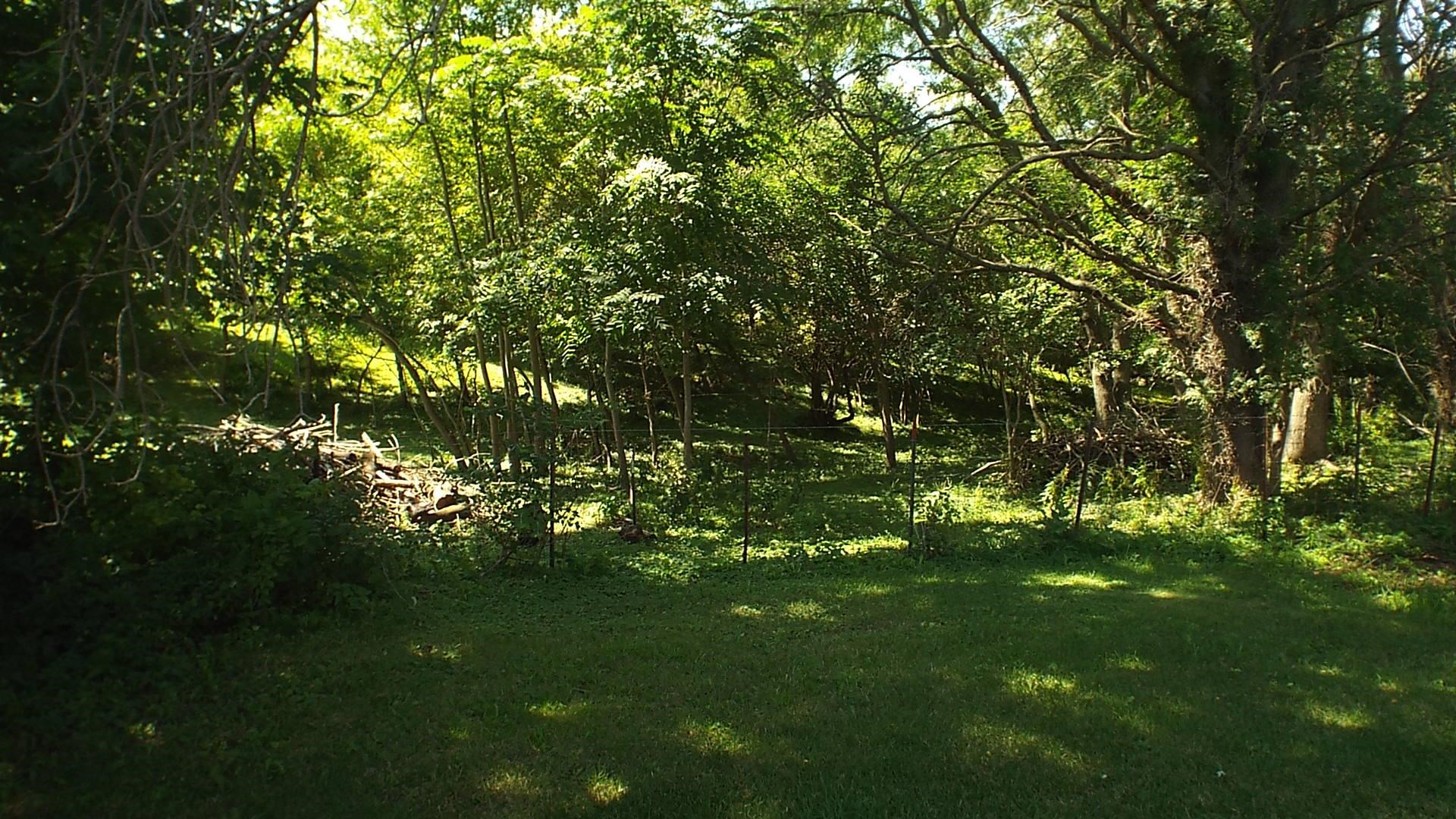 7540 Badger Road East Dubuque, IL 61025 - Photo 29 of 32 Gallery Image 29