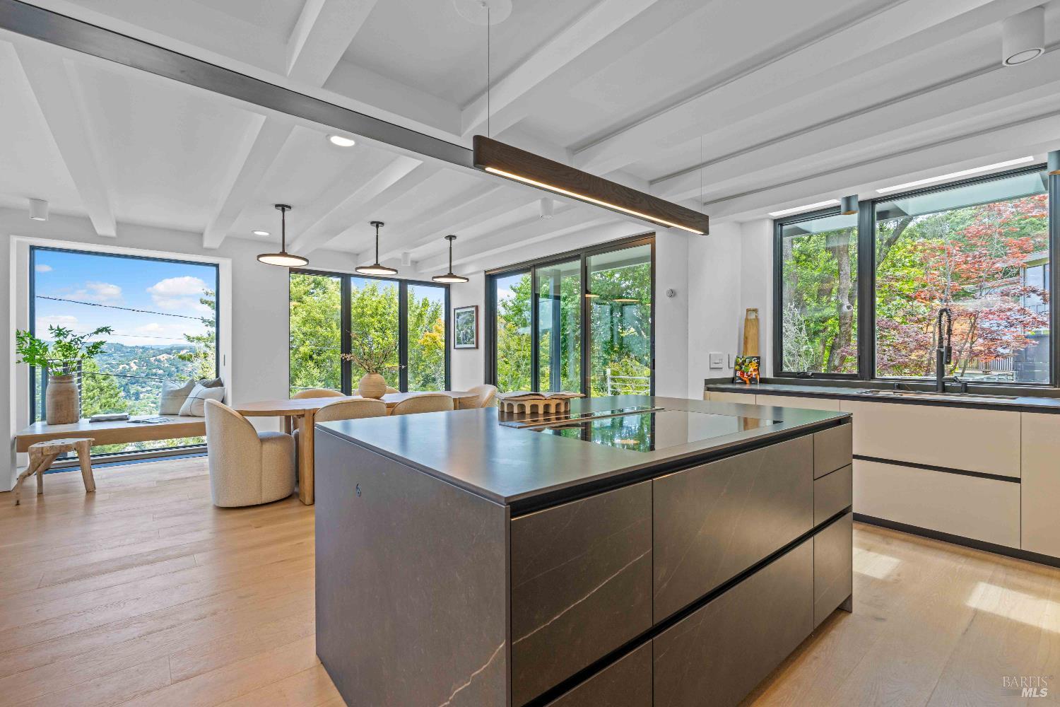 975 Greenhill Road Mill Valley, CA 94941 - Photo 29 of 53 a dining hall with stainless steel appliances granite countertop a sink and view of living room