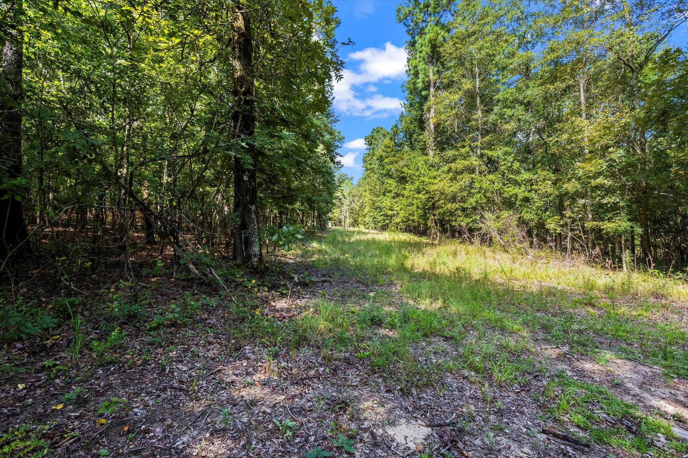 217 Toole Plantation Road Beech Island, SC 29842 - Photo 14 of 20 Gallery Image 14