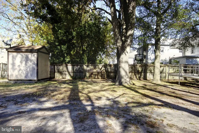 a view of a yard with large trees