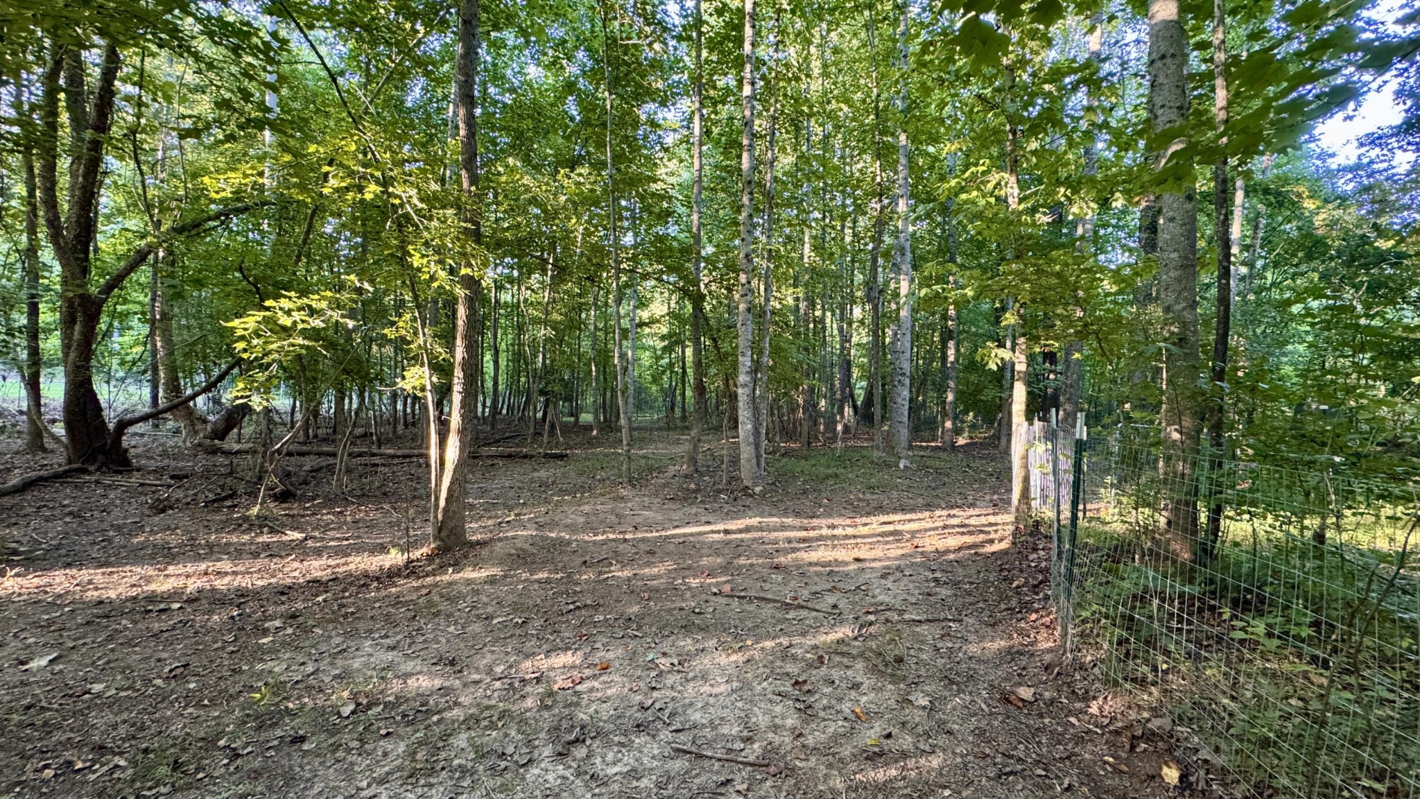 3701 Redman Lane Decatur, TN 37322 - Photo 55 of 96 Gallery Image 55