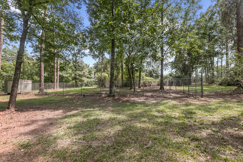 6850 North Co Road Columbia, AL 36319 - Photo 4 of 81