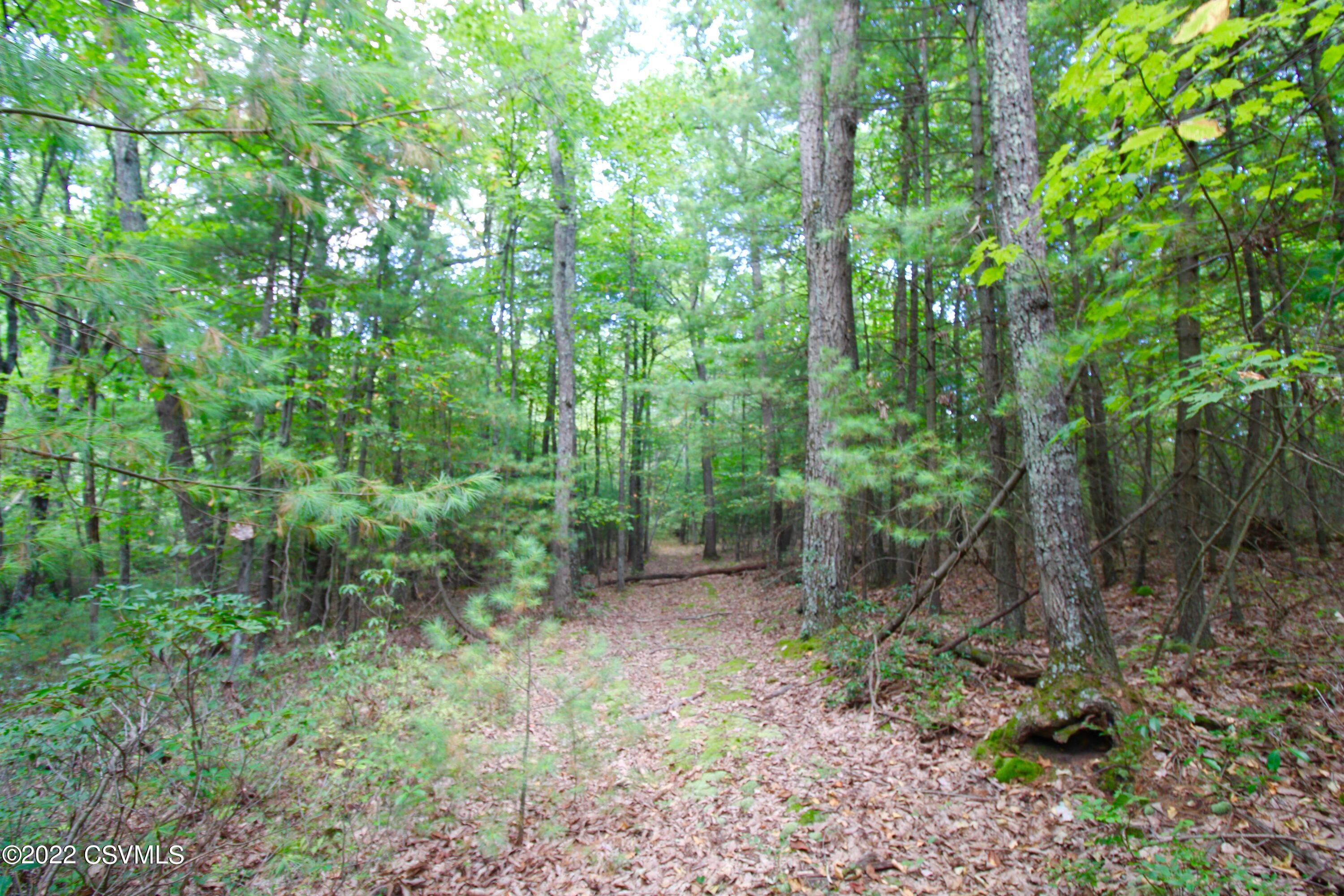 Hill Road Millville, PA 17846 - Photo 7 of 11