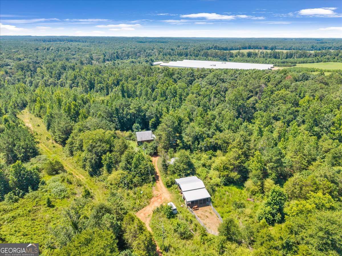 336 Piney Grove Road Comer, GA 30629 - Photo 7 of 20
