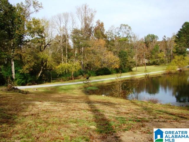 11877 Highway 431 Ohatchee, AL 36271 - Photo 17 of 32