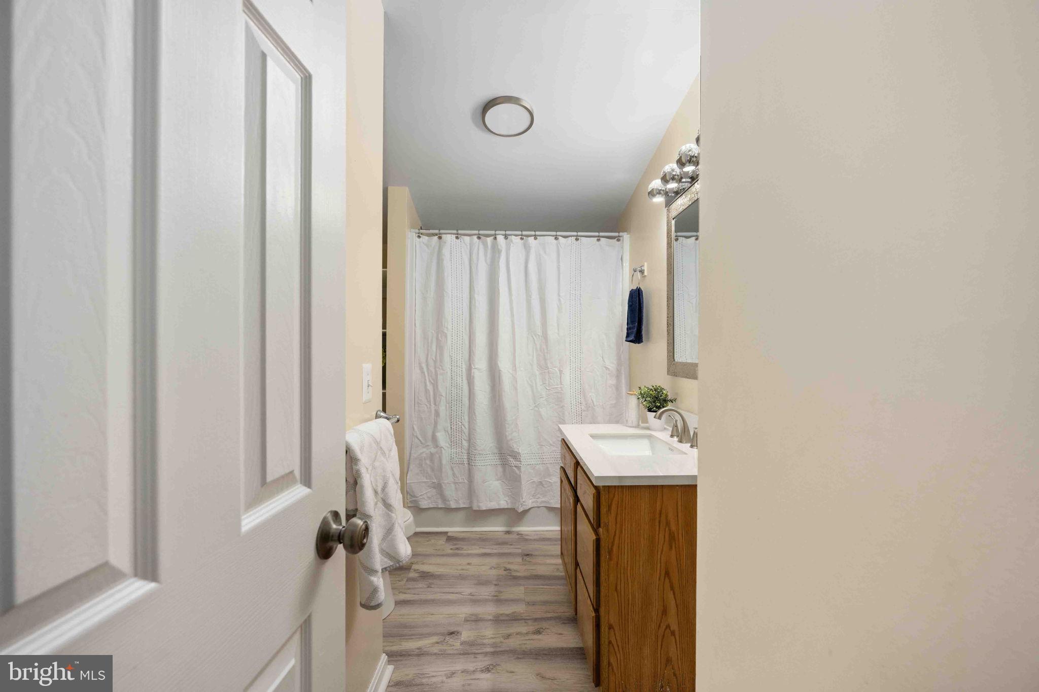 116 Lakeview Parkway Locust Grove, VA 22508 - Photo 51 of 71 a bathroom with a sink a mirror and a shower