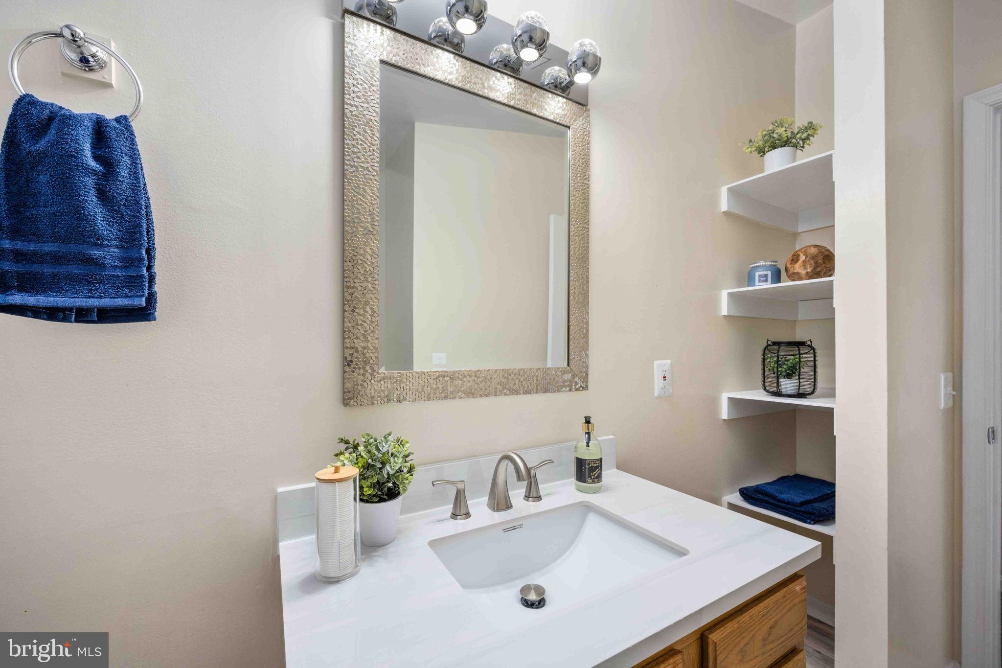 116 Lakeview Parkway Locust Grove, VA 22508 - Photo 53 of 71 a bathroom with a sink and a mirror