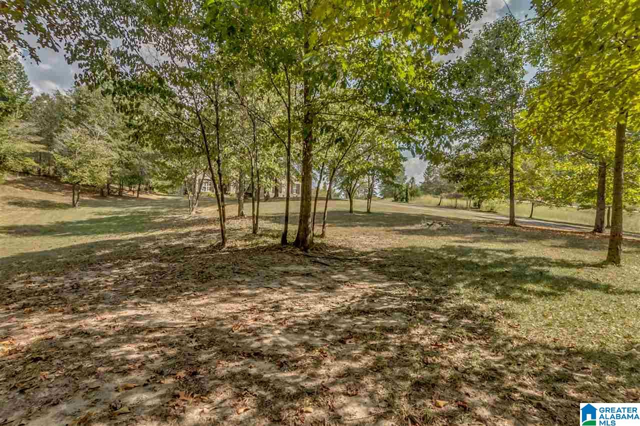 11328 Brant Ward Road Cottondale, AL 35453 - Photo 35 of 36