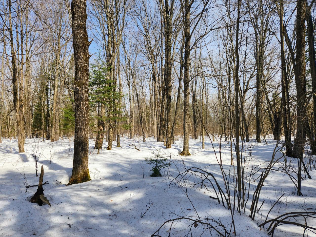 On On Dover Road Phillips, WI 54555 - Photo 4 of 9 Gallery Image 4