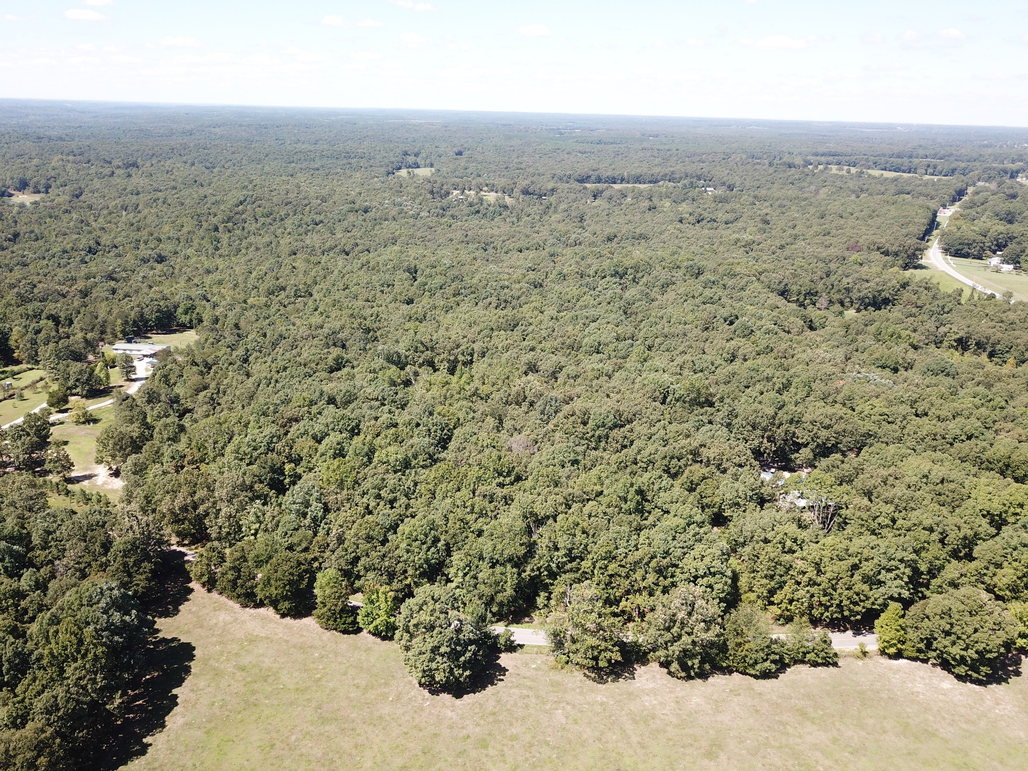 142 Peters Summertown, TN 38483 - Photo 1 of 8 a view of a dry yard covered with trees