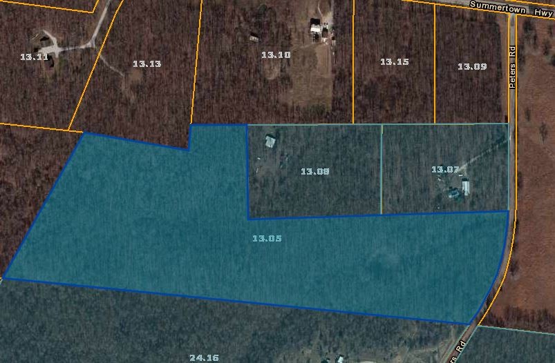 142 Peters Summertown, TN 38483 - Photo 3 of 8
