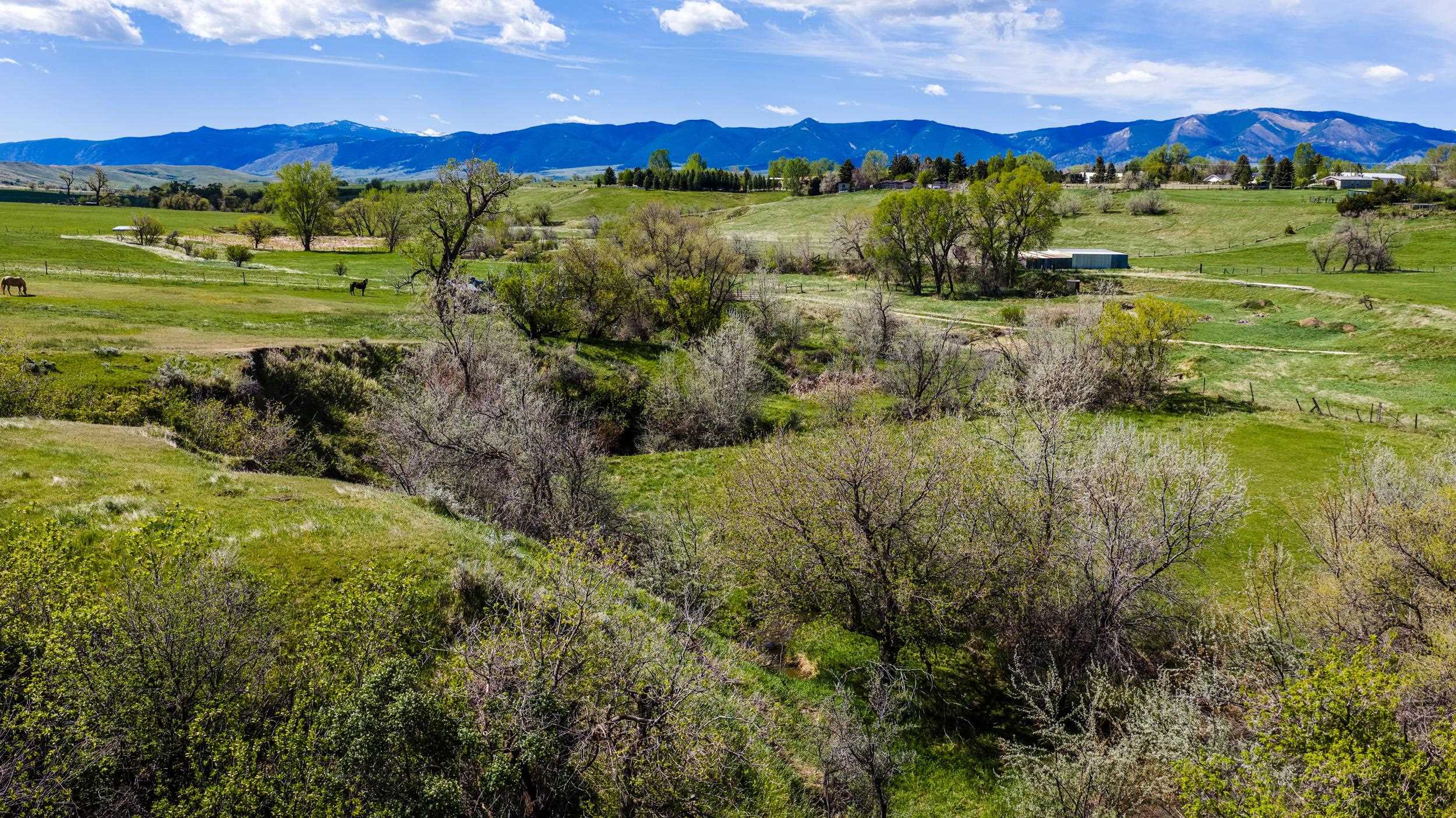 Tbd Beaver Creek Road Sheridan, WY 82801 - Photo 21 of 34