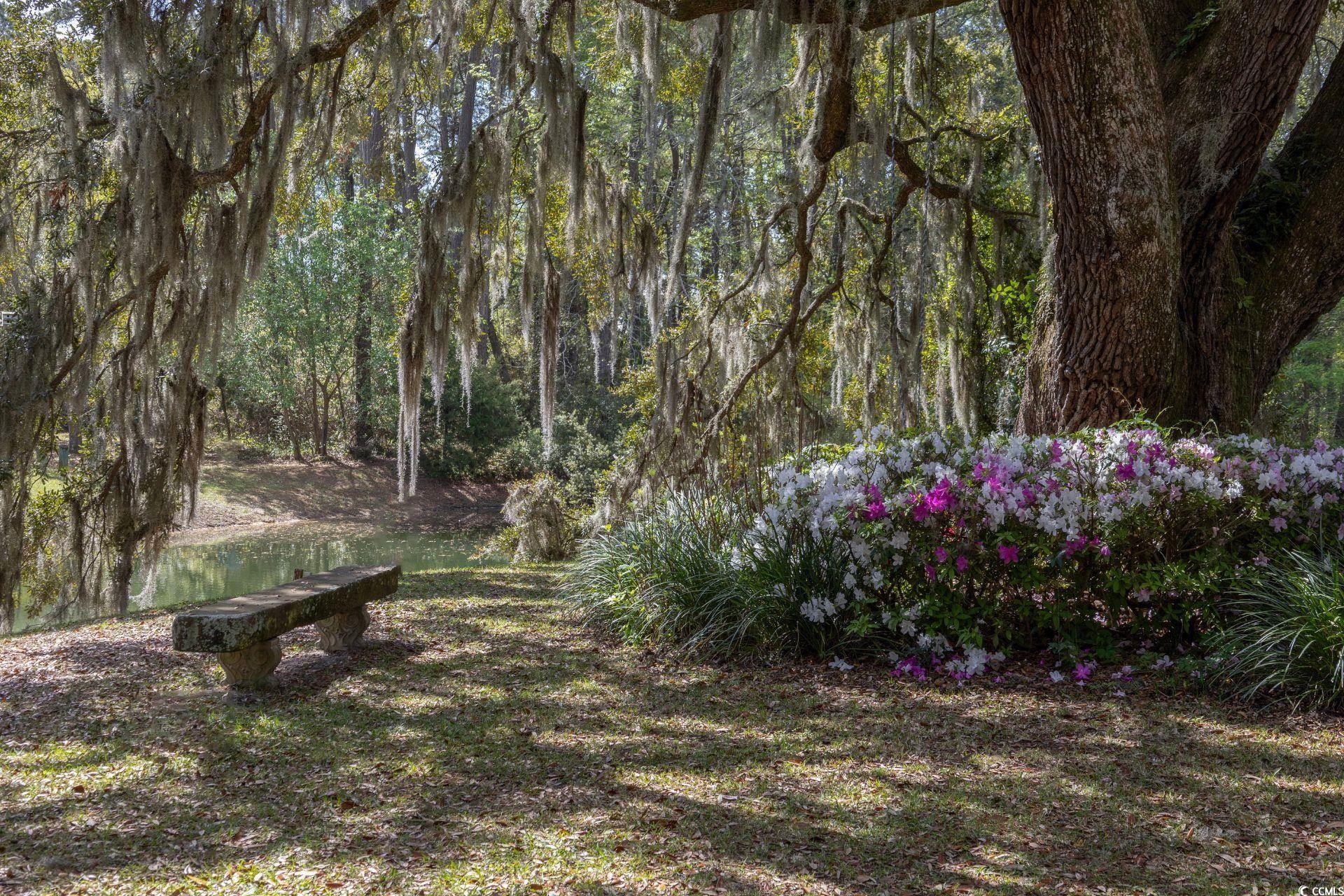 563 Chandler Avenue Murrells Inlet, SC 29576 - Photo 26 of 32 View of yard featuring a forest view