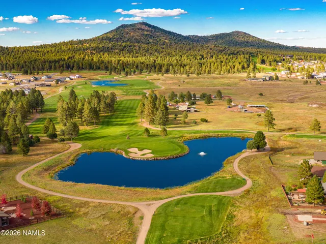 a view of a swimming pool with a lake