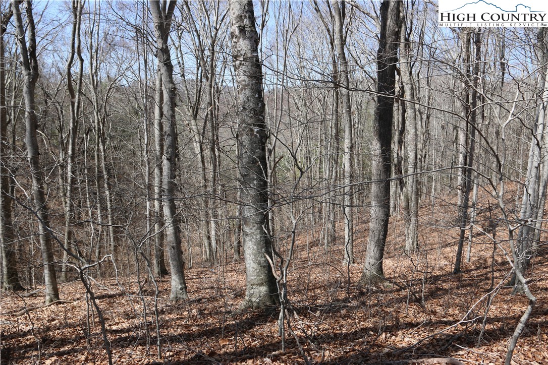 Ed Little Road Warrensville, NC 28693 - Photo 7 of 20 Gallery Image 7