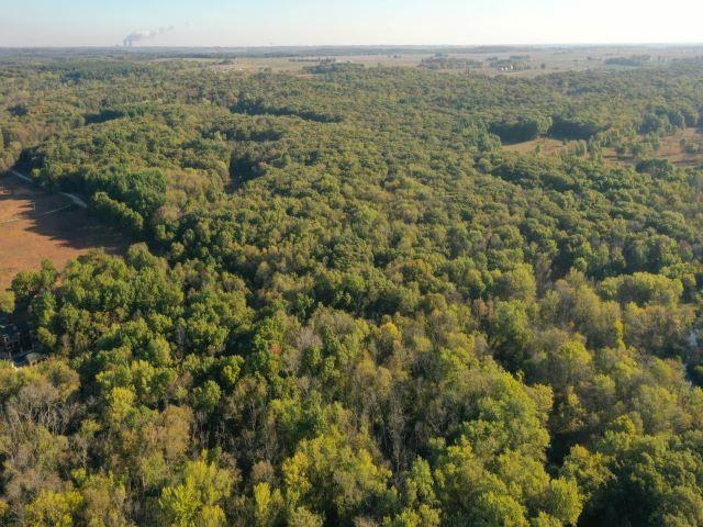 6685 South Lost Nation Road Dixon, IL 61021 - Photo 53 of 70 a view of a city with lush green forest