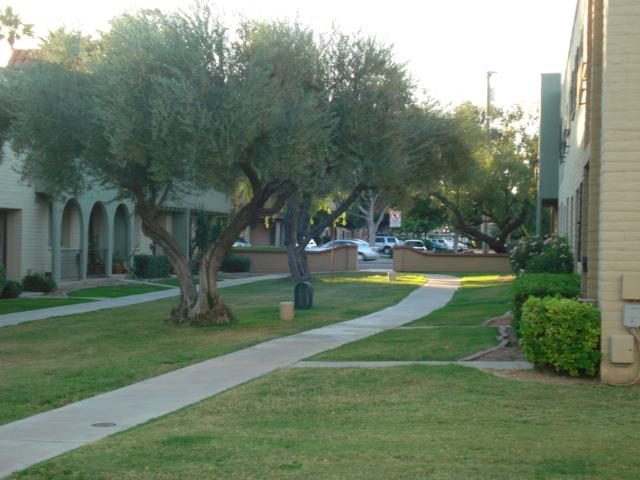 4331 North Miller Road Scottsdale, AZ 85251 - Photo 1 of 7 Front