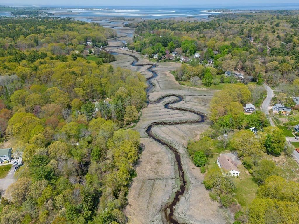 a view of a yard with a swimming pool