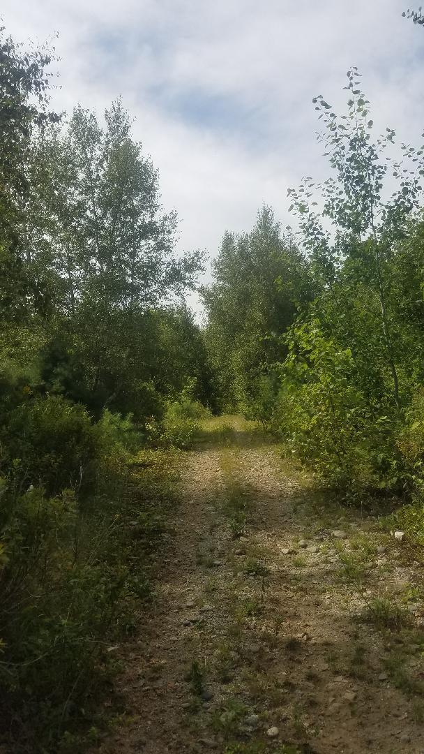 Oo Oo Remick/point Road Ellsworth, ME 04605 - Photo 3 of 4 LAND 3