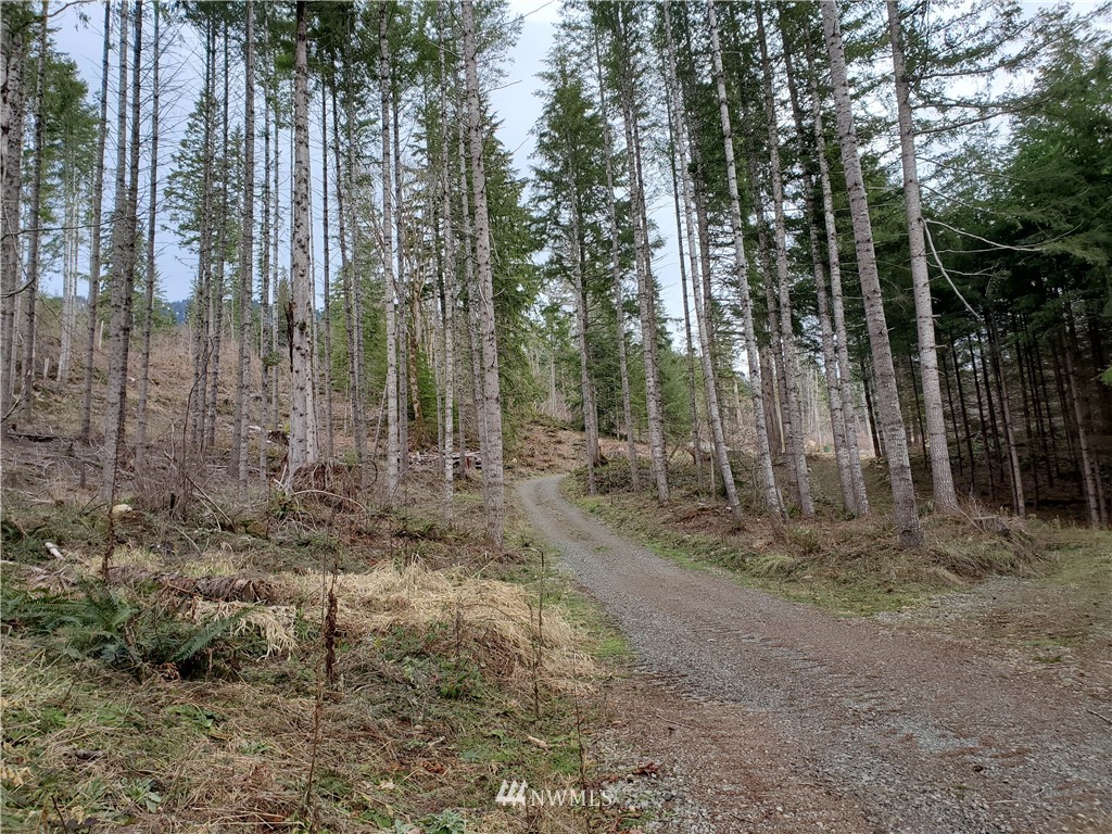 0 East Carr Road Randle, WA 98377 - Photo 1 of 13 Gallery Image 1