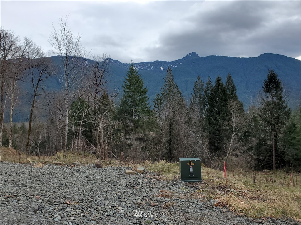0 East Carr Road Randle, WA 98377 - Photo 3 of 13 Gallery Image 3