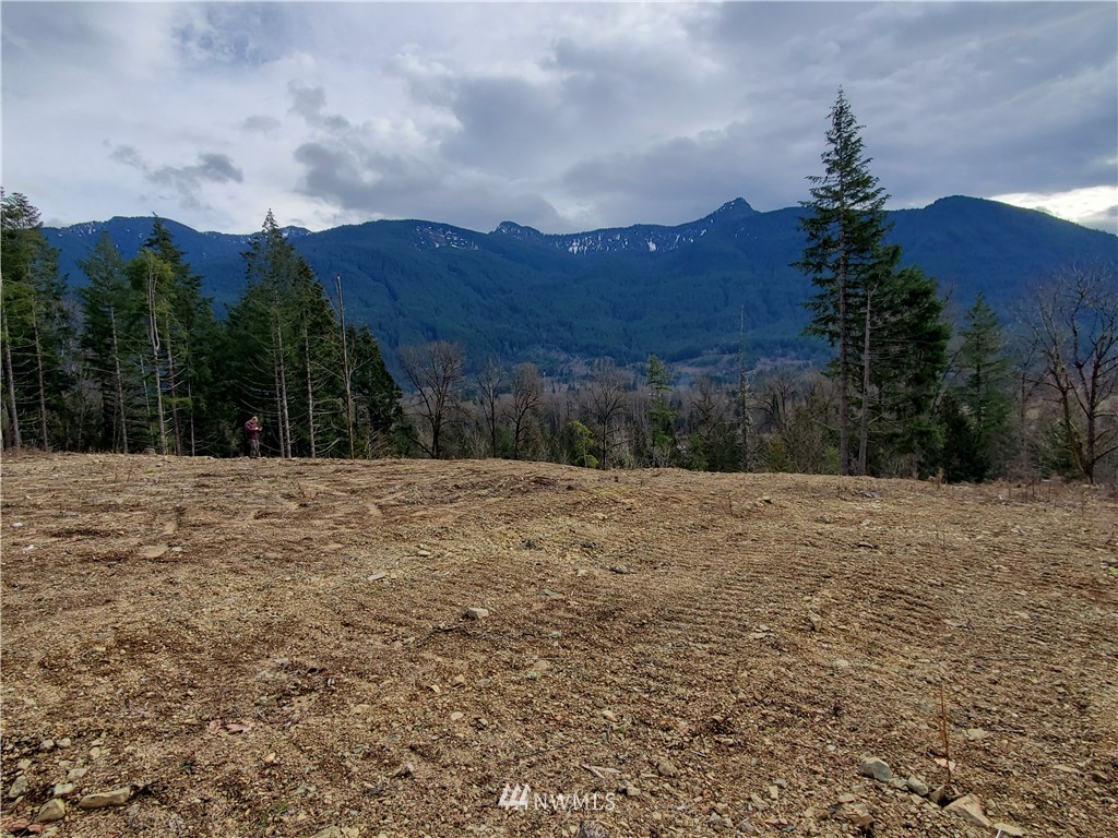 0 East Carr Road Randle, WA 98377 - Photo 4 of 13 Gallery Image 4