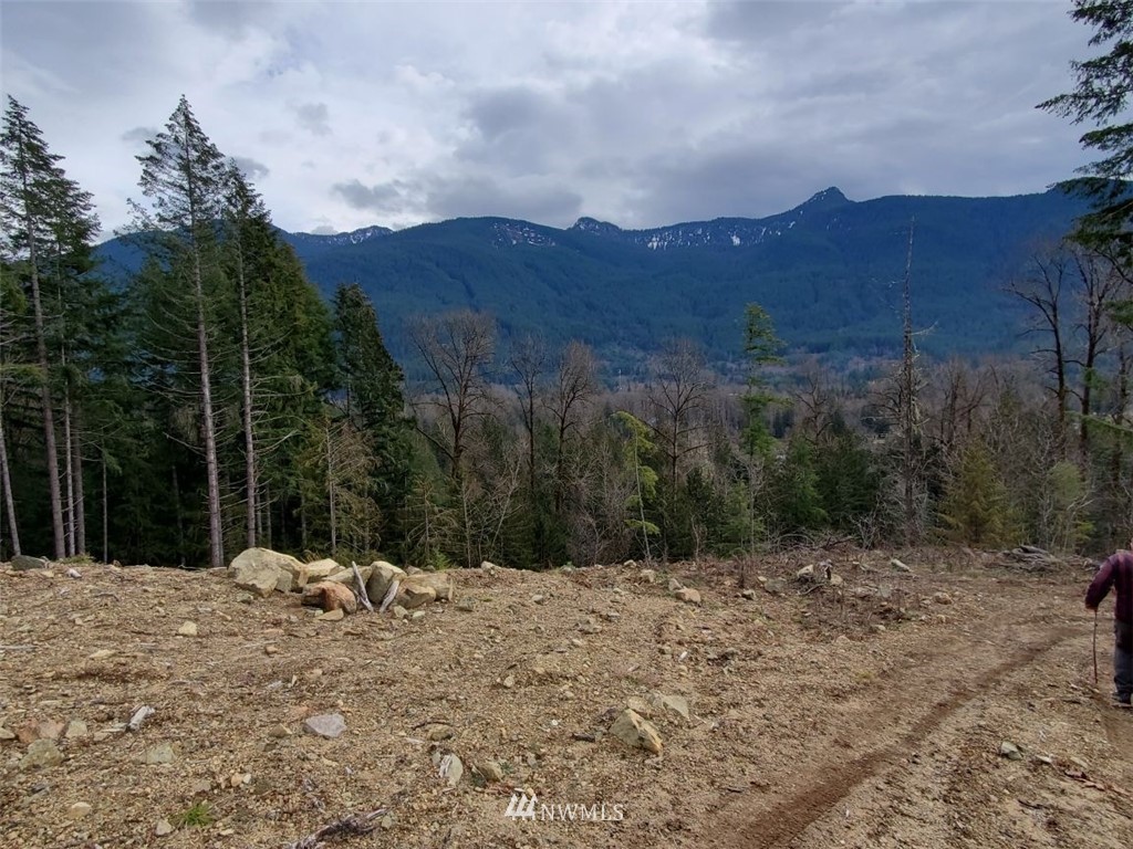 0 East Carr Road Randle, WA 98377 - Photo 5 of 13 Gallery Image 5