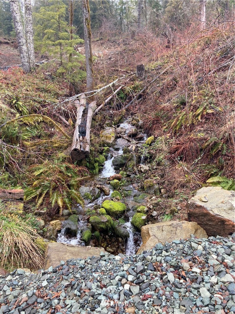 0 East Carr Road Randle, WA 98377 - Photo 7 of 13 Gallery Image 7