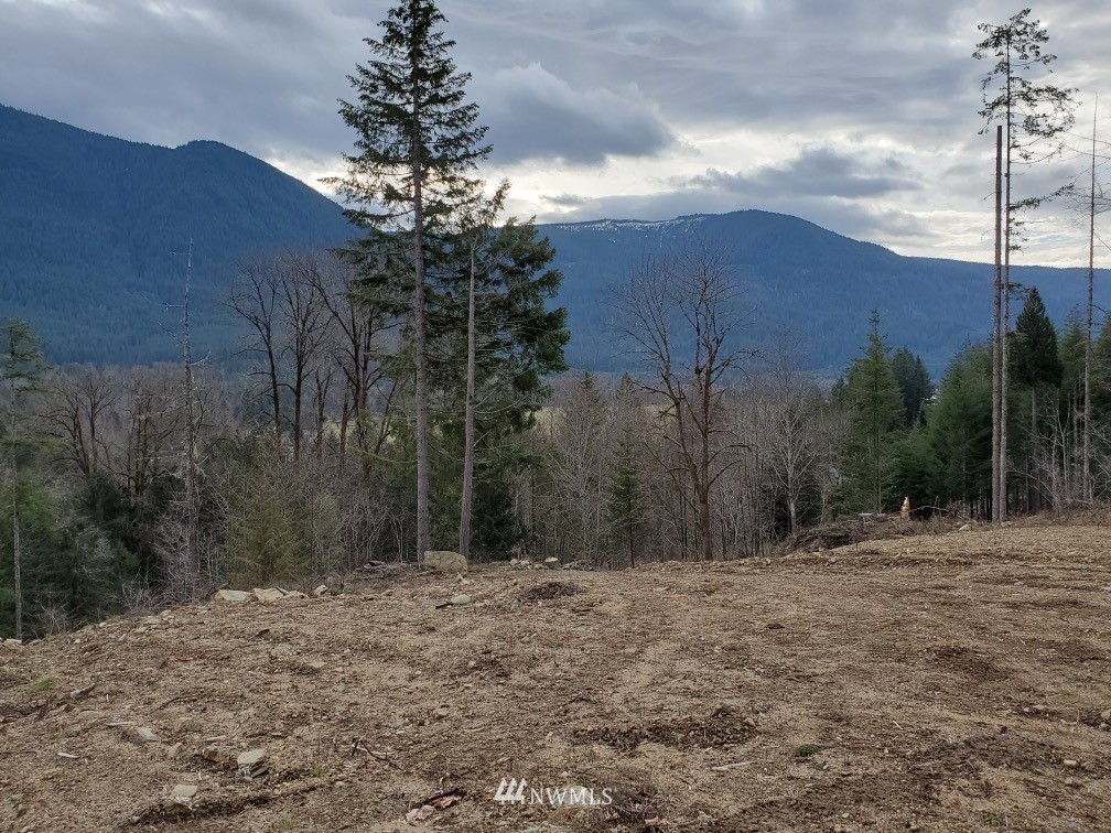 0 East Carr Road Randle, WA 98377 - Photo 10 of 13 Gallery Image 10