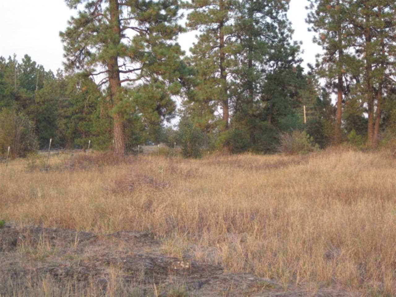 2410 North Old Trails Road Spokane, WA 99224 - Photo 2 of 18 Gallery Image 2