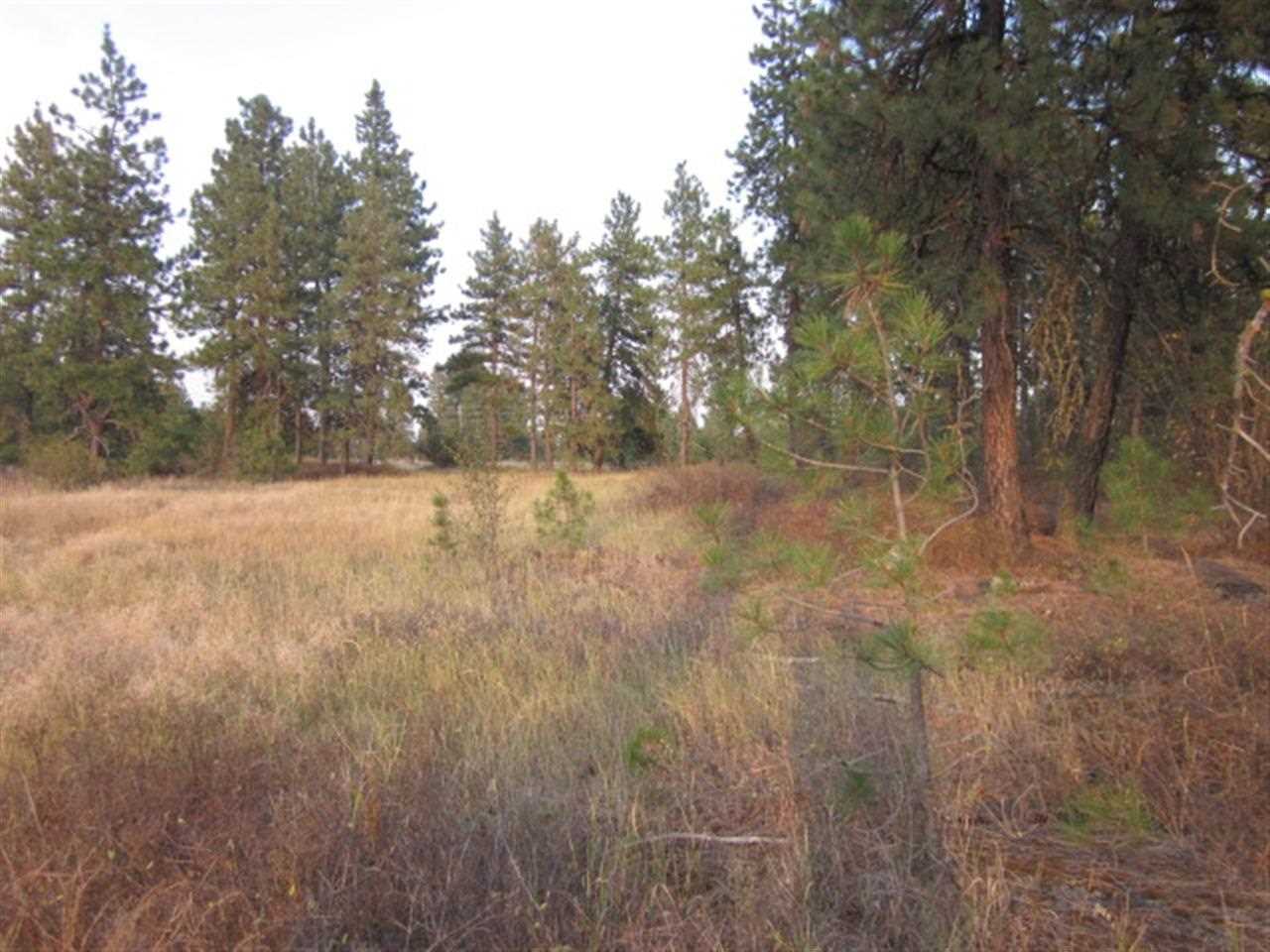2410 North Old Trails Road Spokane, WA 99224 - Photo 13 of 18 Gallery Image 13