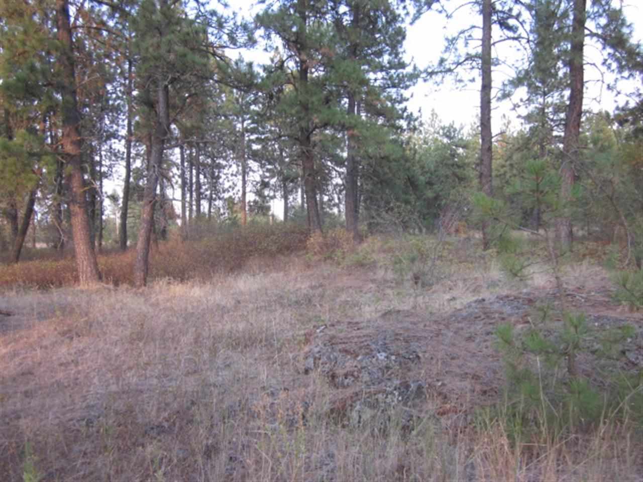 2410 North Old Trails Road Spokane, WA 99224 - Photo 15 of 18 Gallery Image 15