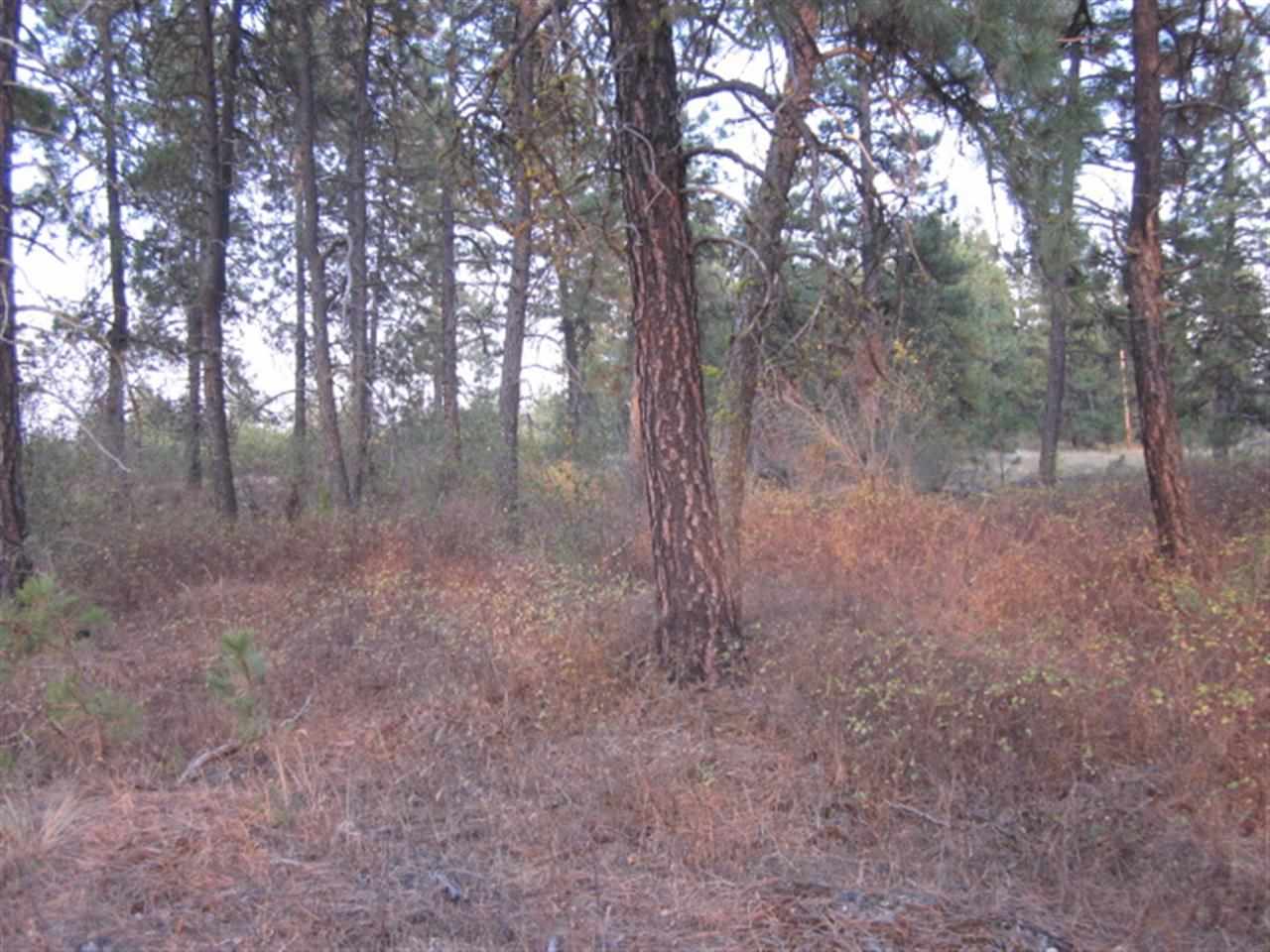 2410 North Old Trails Road Spokane, WA 99224 - Photo 16 of 18 Gallery Image 16