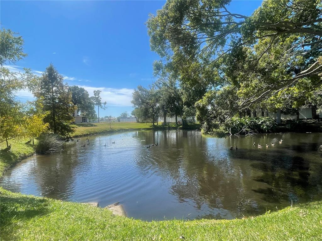 6980 Ulmerton Road, Unit 3G Largo, FL 33771 - Photo 45 of 52 a view of lake