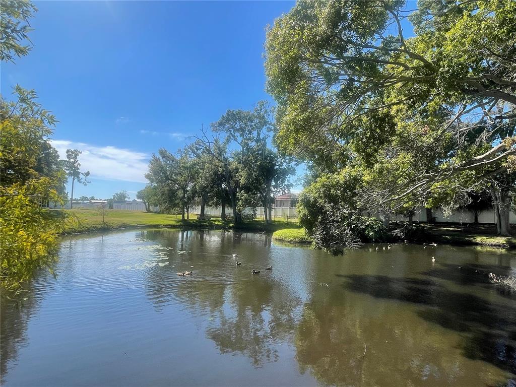 6980 Ulmerton Road, Unit 3G Largo, FL 33771 - Photo 50 of 52 a view of lake