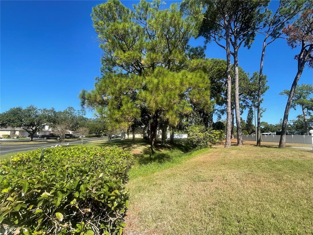 6980 Ulmerton Road, Unit 3G Largo, FL 33771 - Photo 52 of 52 a backyard of a house with lots of green space