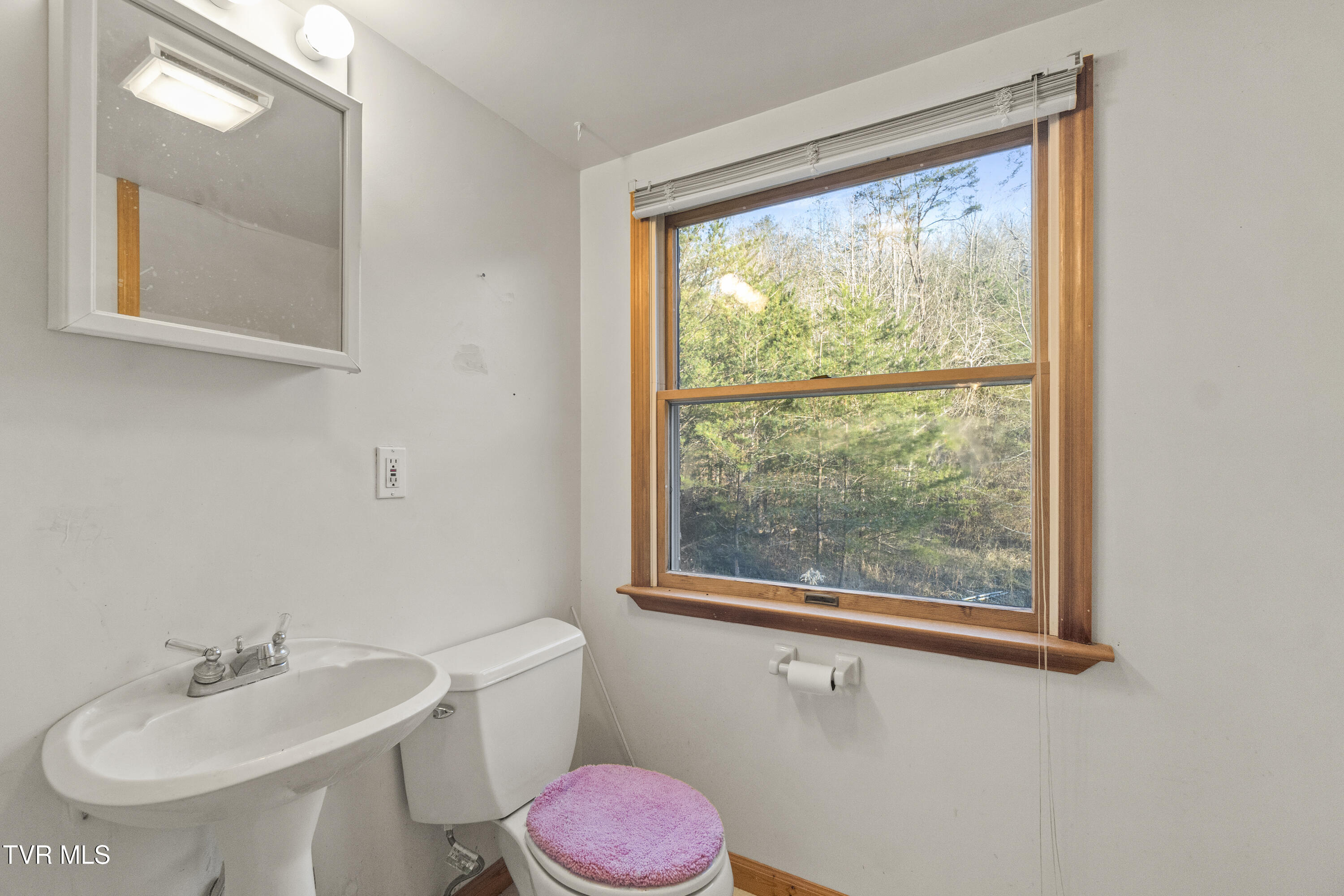 604 Sandy Valley Road Rogersville, TN 37857 - Photo 42 of 45 DSC04654