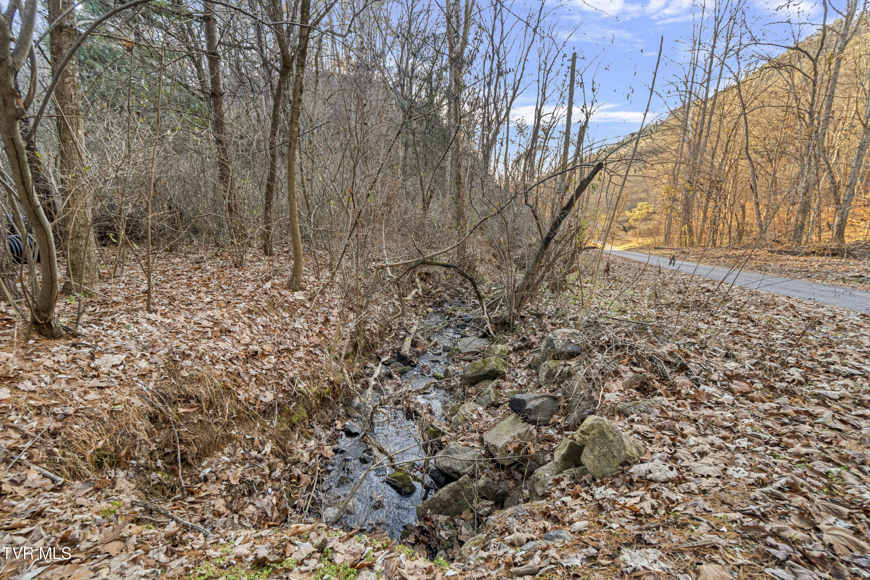 604 Sandy Valley Road Rogersville, TN 37857 - Photo 45 of 45 DSC04666