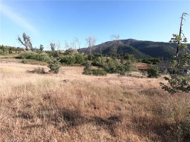 a view of a dry yard with green space