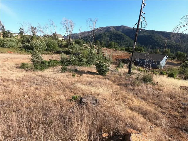 a view of a yard in front of the house