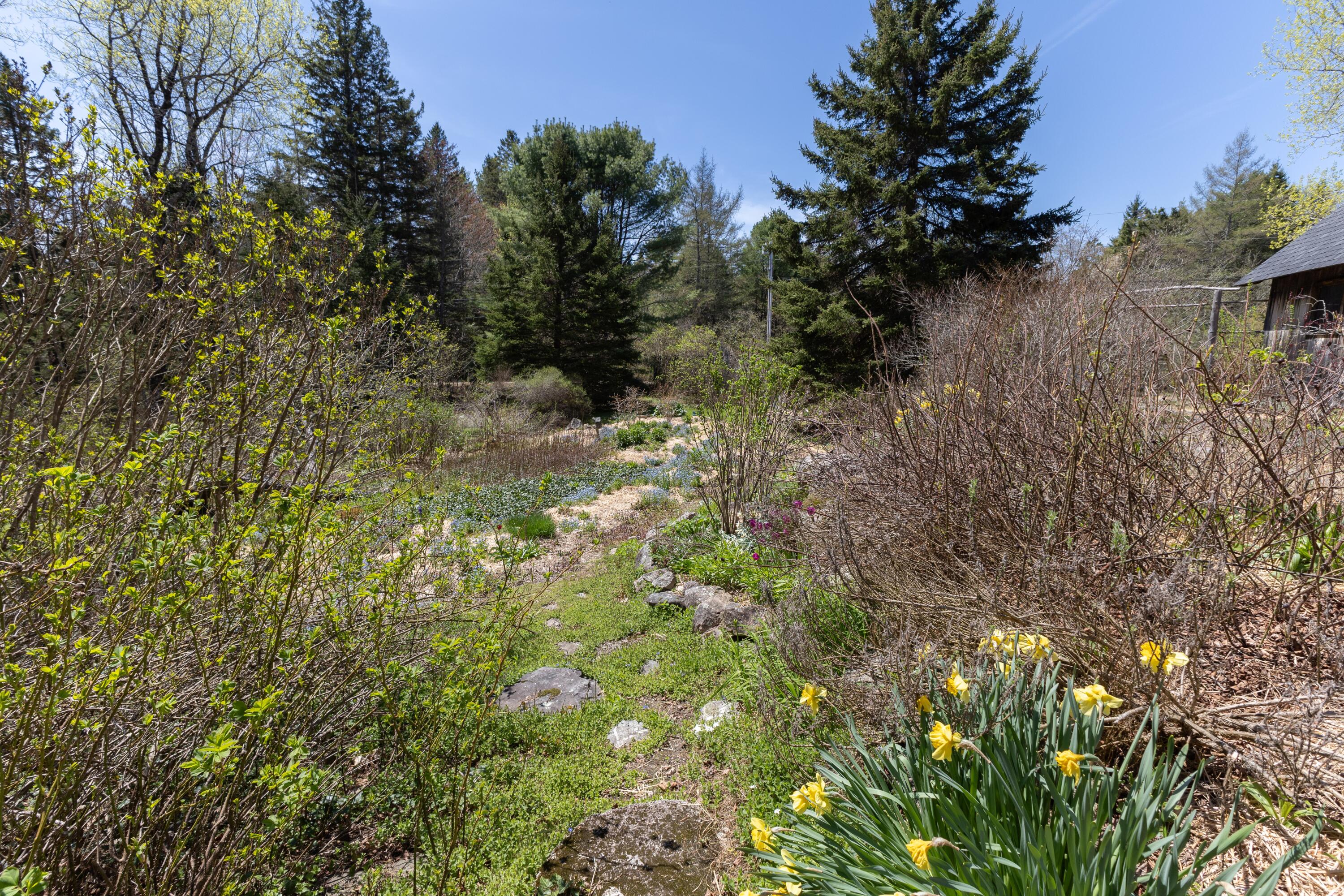 12 Bakers Point Road Steuben, ME 04680 - Photo 57 of 86 Path to lower garden.