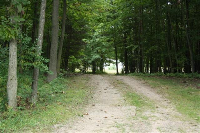 3748 Monroe Road Blanchard, MI 49310 - Photo 12 of 15 Additional Photo