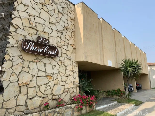 a black and white wall with a potted plant