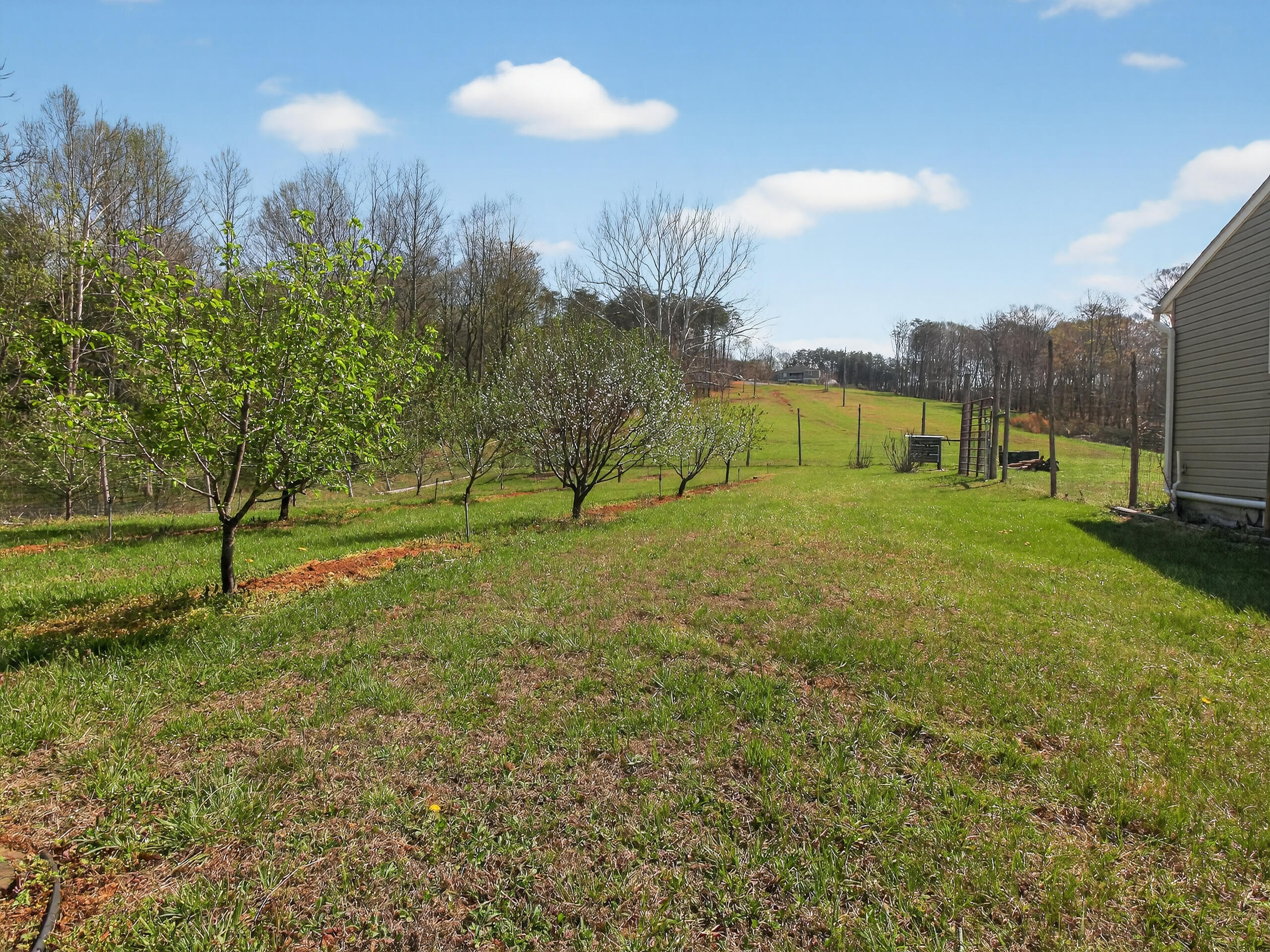 498 Meeks Road Penhook, VA 24137 - Photo 64 of 69 IMG_5558
