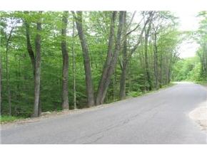 Lot#19 Mount Cardigan Road Alexandria, NH 03222 - Photo 3 of 4 Gallery Image 3