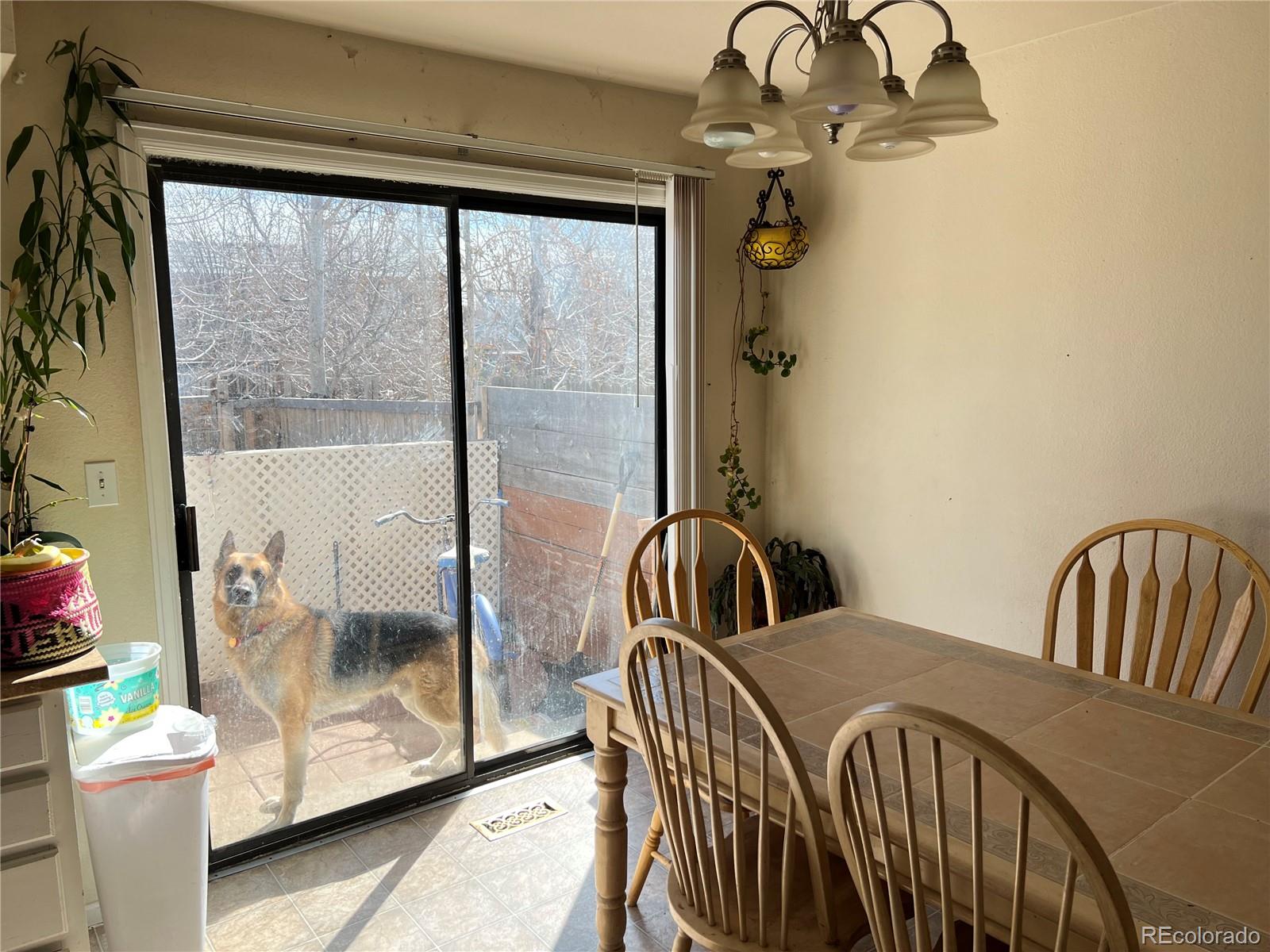 1904 Eagle Street Aurora, CO 80011 - Photo 23 of 27 a bedroom with a bed and a window